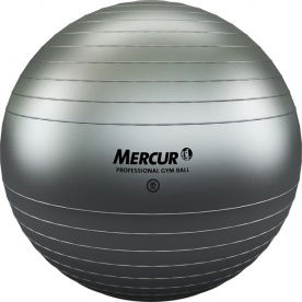 Bola Professional Gym Ball - 65cm Acompanha DVD com orientações para  exercícios e bomba para inflar.