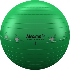 Gym Ball Professional 75cm - Mercur