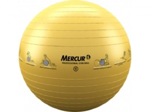Gym Ball Professional 45cm - Mercur