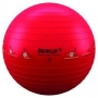 Gym Ball Professional 55cm - Mercur